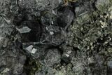 Black Andradite (Melanite) Garnet Cluster - Morocco #107908-1